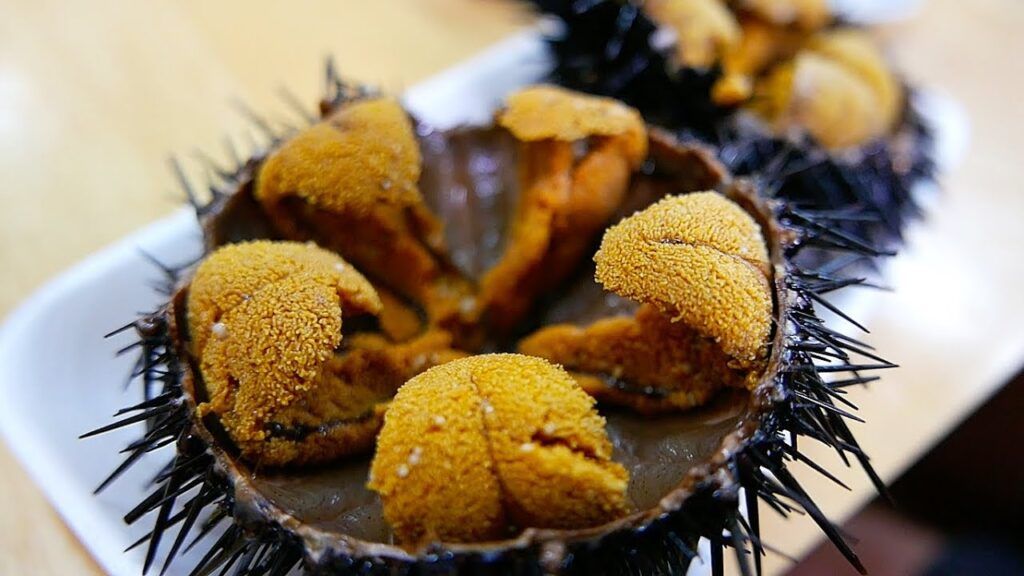 Insides of a kina sea urchin on plate